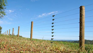 牧场果园电子围栏